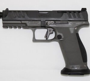 img 0979 36305.1690314622.386.513.jpg