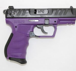 img 1138 12254.1718820983.386.513.jpg