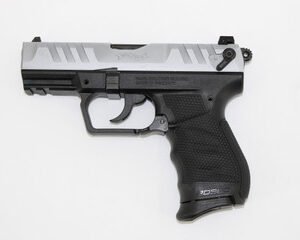 img 1178 21816.1723123915.386.513.jpg