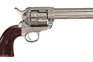 pp411lnbb 49997.1722974495.386.513.jpg