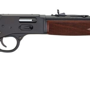 HENRY REPEATING ARMS BIG BOY STEEL 45LC BL/WD