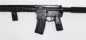 img 1198 47357.1725024000.386.513.jpg