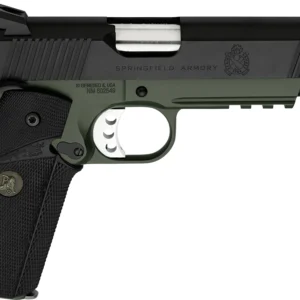 image full 6196 6deed01c2ad1044b7078655038316e68.webp