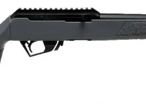 1145311 14349523.webp