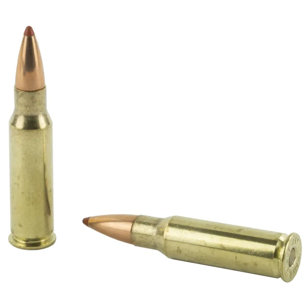 18121 14142371.webp 18121 14142371.webp