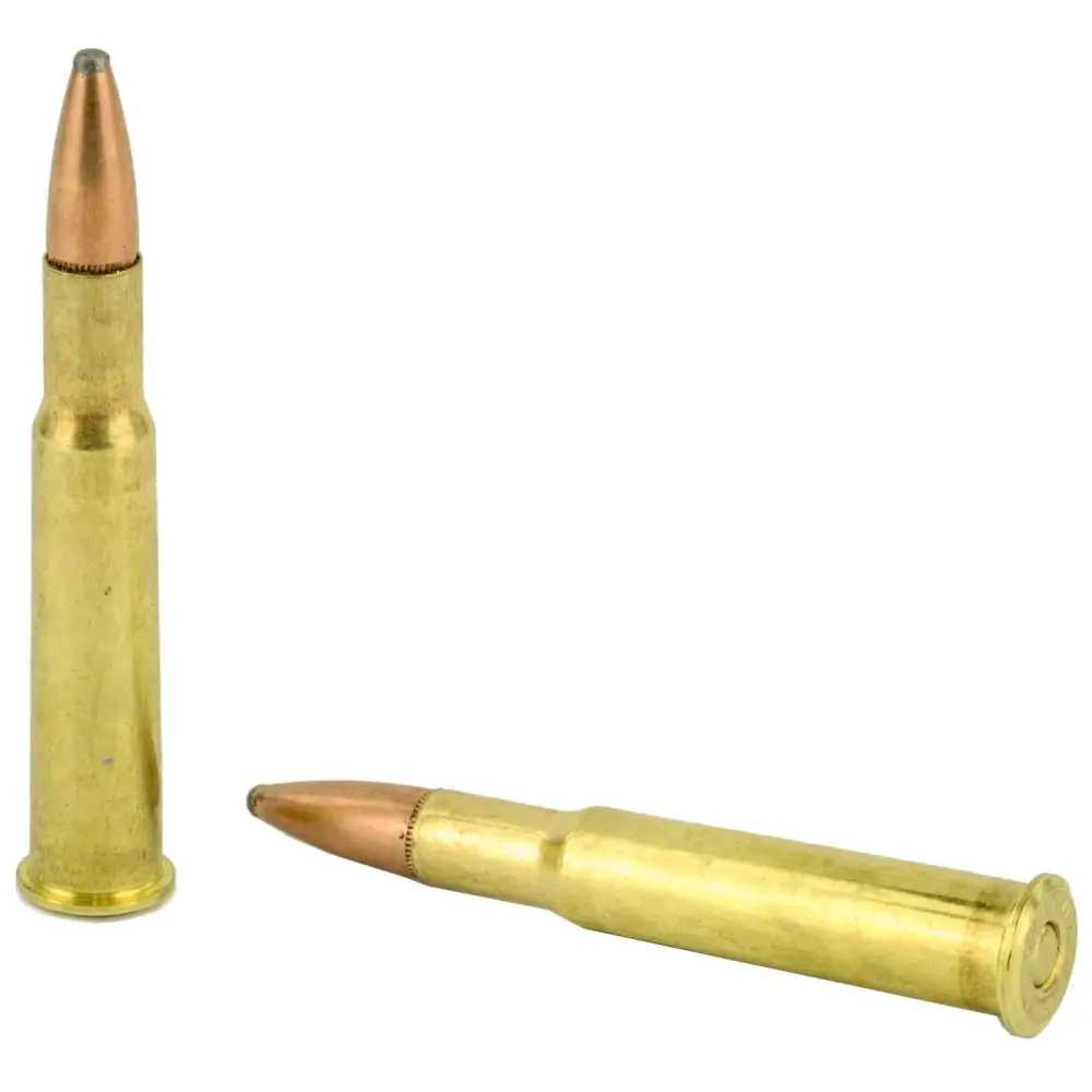 21108 14158560.webp 21108 14158560.webp