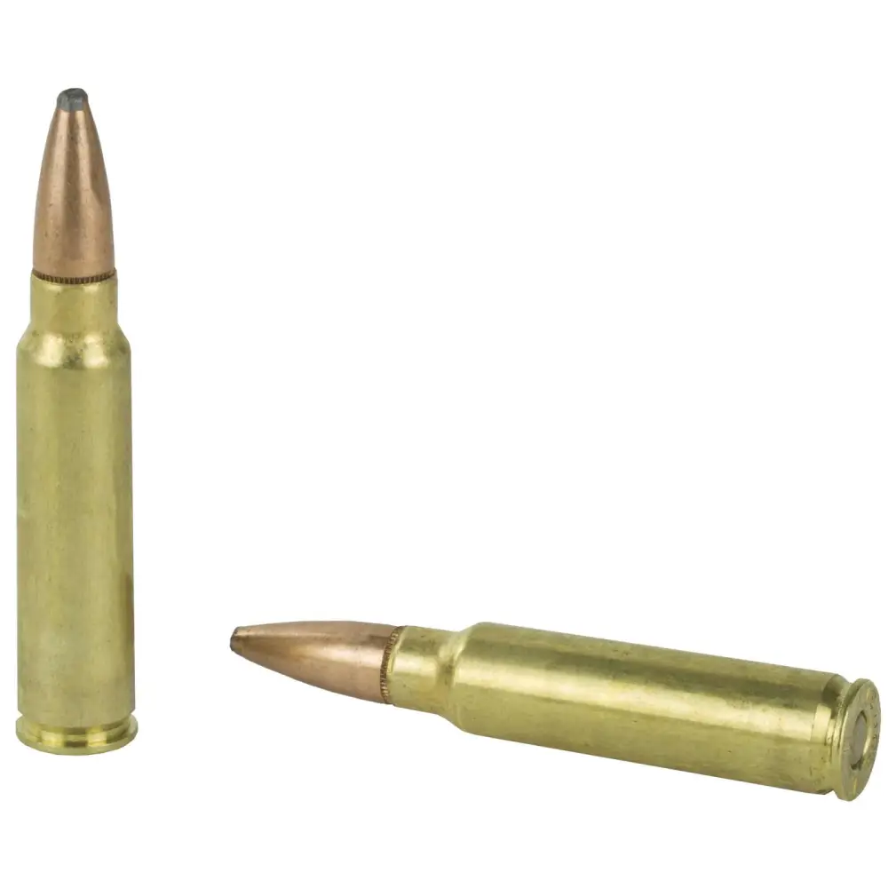 21114 14158304.webp 21114 14158304.webp