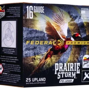 363379 14251280.webp