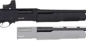 526590 14095740.webp