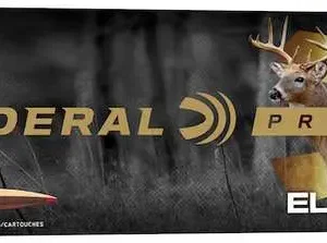 757961 14265551.webp