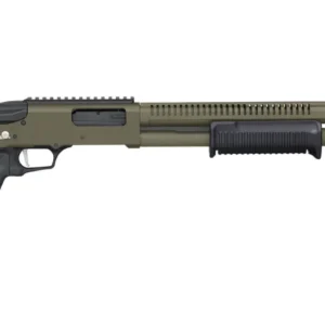 image full 8476 21df43ae4226b0a7ab5f3f41cc60a75f.webp