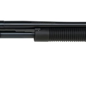 image full 4107 f90a565e526c6b8bb9c599551cf7a3e9