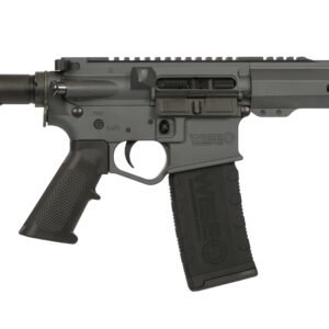 wise0005graylongf170