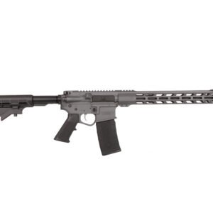 ws16300sg3c65
