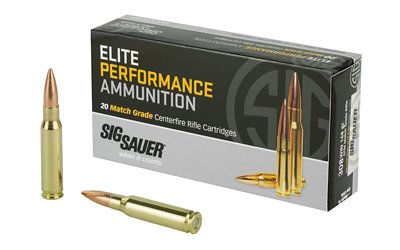 sge308m1 1.jpg sge308m1 1.jpg